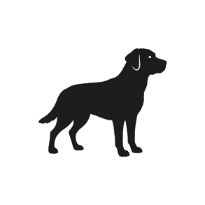 Собака больше 25 кг