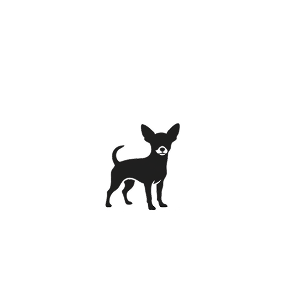 Собака до 10 кг